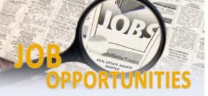 Image for Job Openings Fall from Highest Level in Five Years